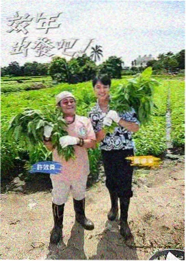 窝窝看人物卡：综艺叙事撰稿人周琰的选题板
